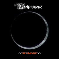 In Flammen Remix - Wolfenmond