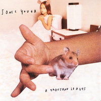 The Ineffable Me - Sonic Youth