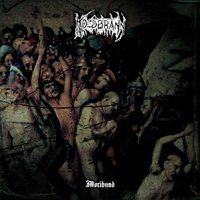 Smell of Vitriol - Koldbrann