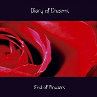 Victimized - Diary of Dreams