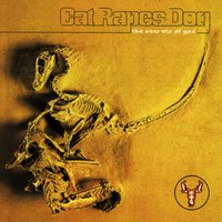 Mark Of The Devil - Cat Rapes Dog