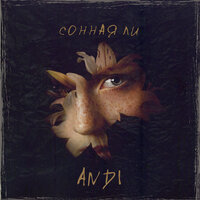Сонная Ли - ANDI