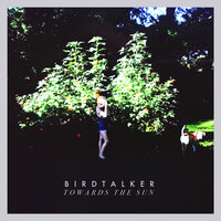 Towards the Sun - Birdtalker