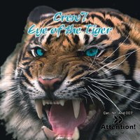 Eye Of The Tiger - Crew 7
