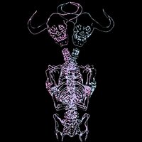 Taurus - Olivia Knight, cøzybøy
