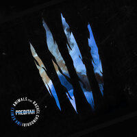 Animals - Preditah, MK, Rachel Chinouriri