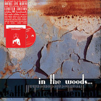 Titan Transcedences - In The Woods...