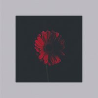 Заново - Адвайта