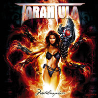 Breaking The Barriers of Time - Tarantula