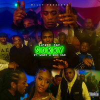 Sorry [Wiley Presents Lickle Jay] - Wiley, Lickle Jay, Riko Dan