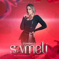 Sevmeli - Tünzalə