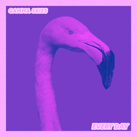 Every Day - Gamma Skies, Milva