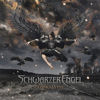 Krieg In Der Wüste - Schwarzer Engel