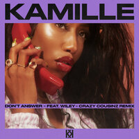 Don't Answer - Wiley, KAMILLE, Crazy Cousinz