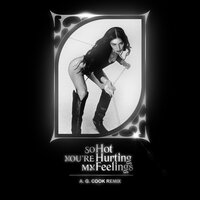 So Hot You're Hurting My Feelings - Caroline Polachek, A. G. Cook