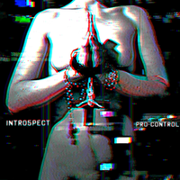 Intro5pect