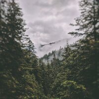 I Loved You but You Never Loved Me - Essence, Roiael