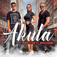 Akula - Zvika Brand, 242, INtellegent
