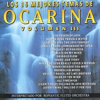 (Everything I Do)I Do It For You - Romantic Flutes Orchestra