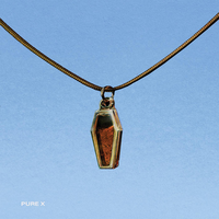 Stayed Too Long - Pure X