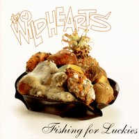 Two-Way Idiot Mirror - The Wildhearts
