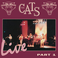 A Room Full Of Tears - The Cats