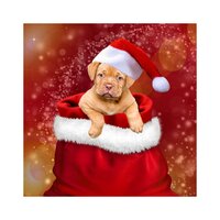 Snow - Deep Relaxation Meditation Academy, Xmas Collective, Christmas Pianobar, Deep Relaxation Meditation Academy, Xmas Collective