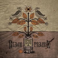 Single Mistake - Black Prairie