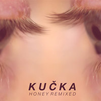 Honey - Kučka