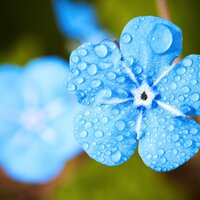 Pouring Showers - Dormir Profundamente, Spa Relaxation, Ibiza Lounge Club
