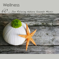 Amazing Music - Meditation Relax Club