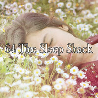 Slumbering Nights - Bedtime Baby