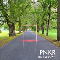 Pnkr