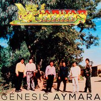 Cuidad del Alto - Los Kjarkas