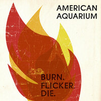 Lonely Ain't Easy - American Aquarium