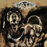 Won't Let You Down - Fate