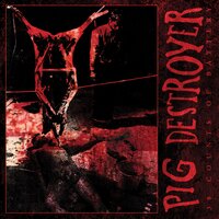 Three Second Apocalypse - Pig Destroyer