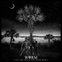Mountain Of Dead Pigs - WVRM