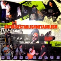 Have You Ever Wondered - Heiruspecs