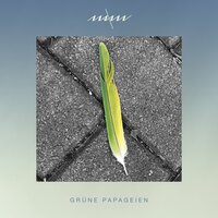 Automat - Maxim