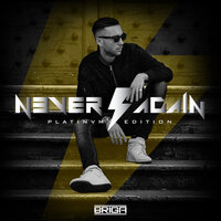 Never Again - Briga