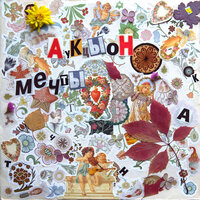 Затаись и жди - АукцЫон