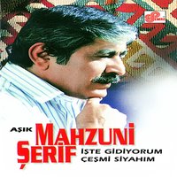 Boşu Boşuna - Aşık Mahzuni Şerif