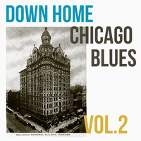 The Twelve Year Old Boy - Elmore James
