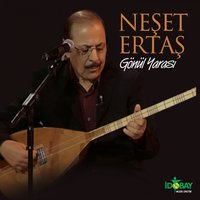 Pınar Başında - Neşet Ertaş