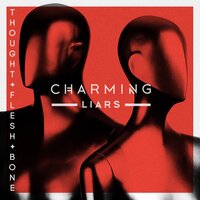 Charming Liars