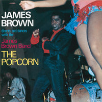The James Brown Band