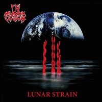 Lunar Strain - In Flames