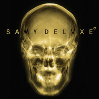 Keine Liebe - Samy Deluxe, Brixx