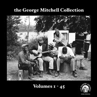 Shake Em' On Down - Fred McDowell